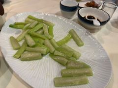 -丁老爷子苏香圆