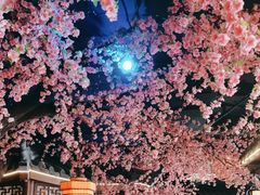 -荷塘秋月·本帮江浙菜(国权路店)