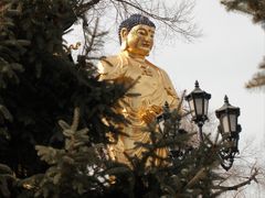 -哈尔滨极乐寺