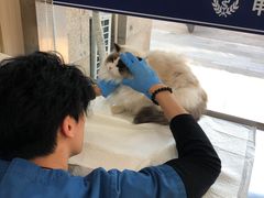 -申普宠物医院·眼科·心内科·影像科(普陀分院)