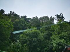 -十八棵（老龙井）御茶园(老龙井店)