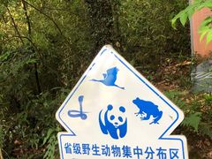-苏州上方山国家森林公园
