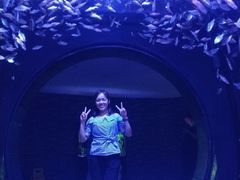 -成都浩海立方海洋公园