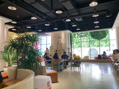 大堂-藏猫猫咖啡主题馆(中央大道店)