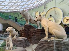 -陕西自然博物馆