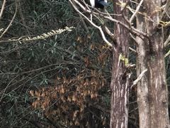 -白塘生态植物园