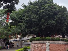 -广州神农草堂中医药博物馆