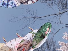 -武汉紫薇都市田园