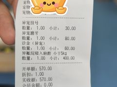 -博特宠物医院24h犬猫全科.骨科·异宠