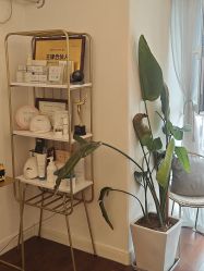 -演员的秘密·皮肤管理