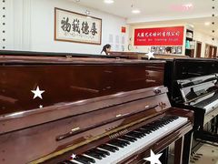 -天籁琴行(淘金店)