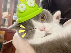 -袖虎·猫馆(体育西路店)