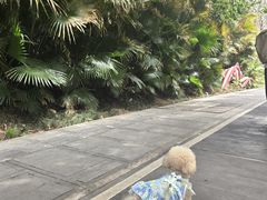 -笨罗卜浏阳菜馆(龙华鹏润达店)