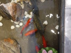 -川锅一号火锅(铜山万达店)