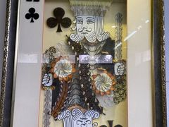 -上海昆虫博物馆