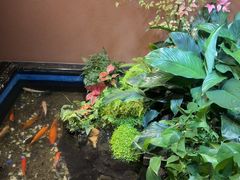 -隐炉和牛烧肉店(群力店)