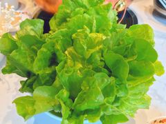 罗马生菜-东门口涮肉·砂锅·烤串(老门东店)