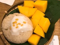 -GOGO Plate(成都太古里店)