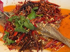 -杨氏青龙虾·羊蝎子(珠江路店)