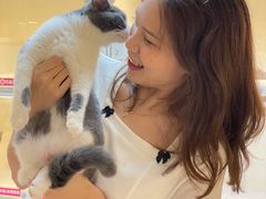 -lincat·猫舍(广州店)