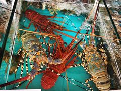 -阿浪海鲜连锁加工店(B栋2排1号火车头店)
