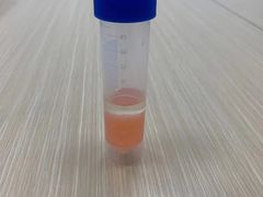 -斯坦星球青少儿编程机器人科学乐高思维专注力科创竞赛规划(武汉凯德西城学习中心)