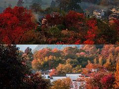 -篁岭景区
