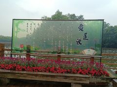 -大湾区中央湿地公园