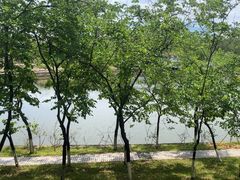 -广东财经大学(佛山校区)