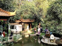 -广州兰圃