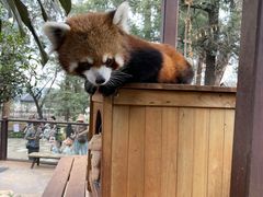 -云南野生动物园