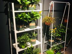 -Primo·丽莫意大利窑烤披萨