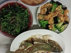 -小蝌蚪·寻·月嫂(普陀总部)