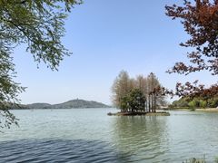 -无锡蠡湖国家湿地公园-蠡园