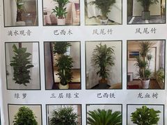 -研筑国际设计事务所(总店)
