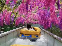 -野三坡刘家河高山漂流