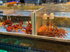 -青蓬蒸汽海鲜·深圳老字号·团建聚会(壹方城店)