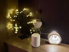 -新紫霞养生·影院足道·SPA(金山区店)