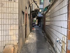 -安海长火土笋冻