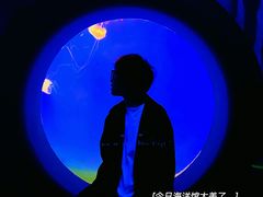 -江和美海洋公园