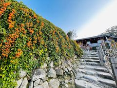-云水谣景区