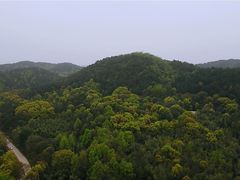 -青龙山国家森林公园