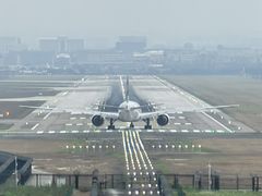 -空港花田景区