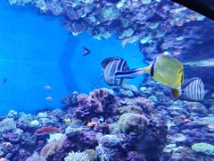 -成都浩海立方海洋公园