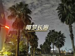 -金沙湖公园