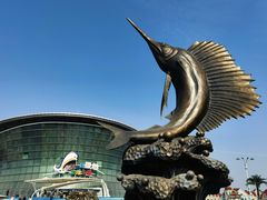-海合安天津极地海洋公园