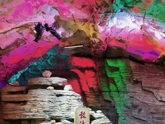 -贝壳梦幻世界