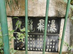 -西双版纳原始森林公园