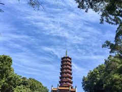 -大雁山风景区