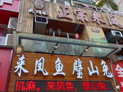-正宗来凤鱼璧山兔(花卉园店)